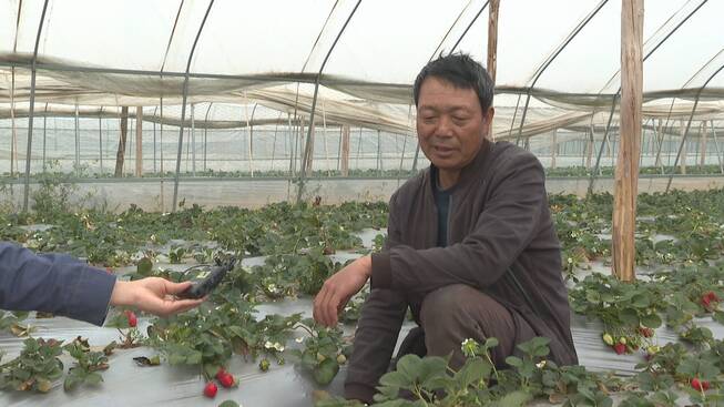 复制图片
